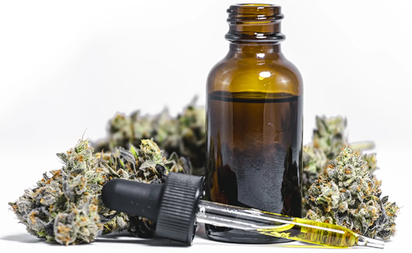 Vapo Dream Fleurs De Cbd Toulon Vapo Dream 3 Vapo Dream Fleurs De Cbd Toulon Vapo Dream 3