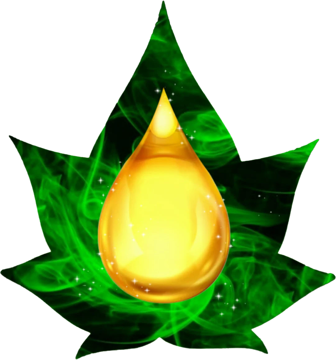 Vapo Dream Fleurs De Cbd Toulon Logo Vapodram